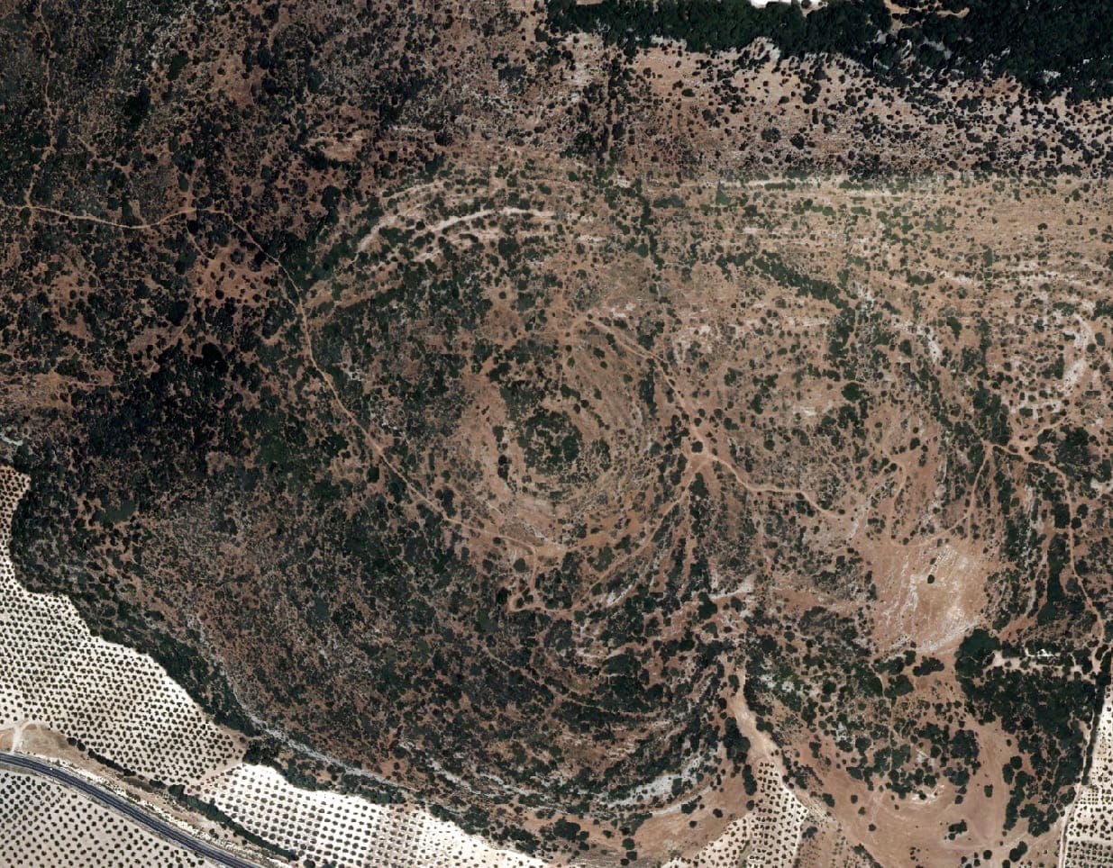 Imagen área de Ortofoto de un Yacimiento Arqueológico en Colomera en el que se ven 3 círculos concéntricos cubiertos por vegetación