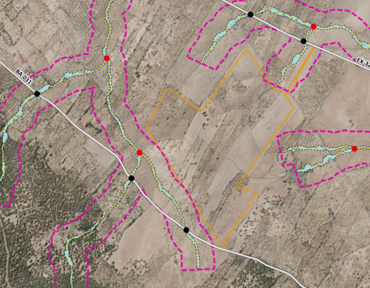 Estudio Hidráulico 1,5D y obtención de cartografías de Inundabilidad de Salvatierra de los Barros, Badajoz